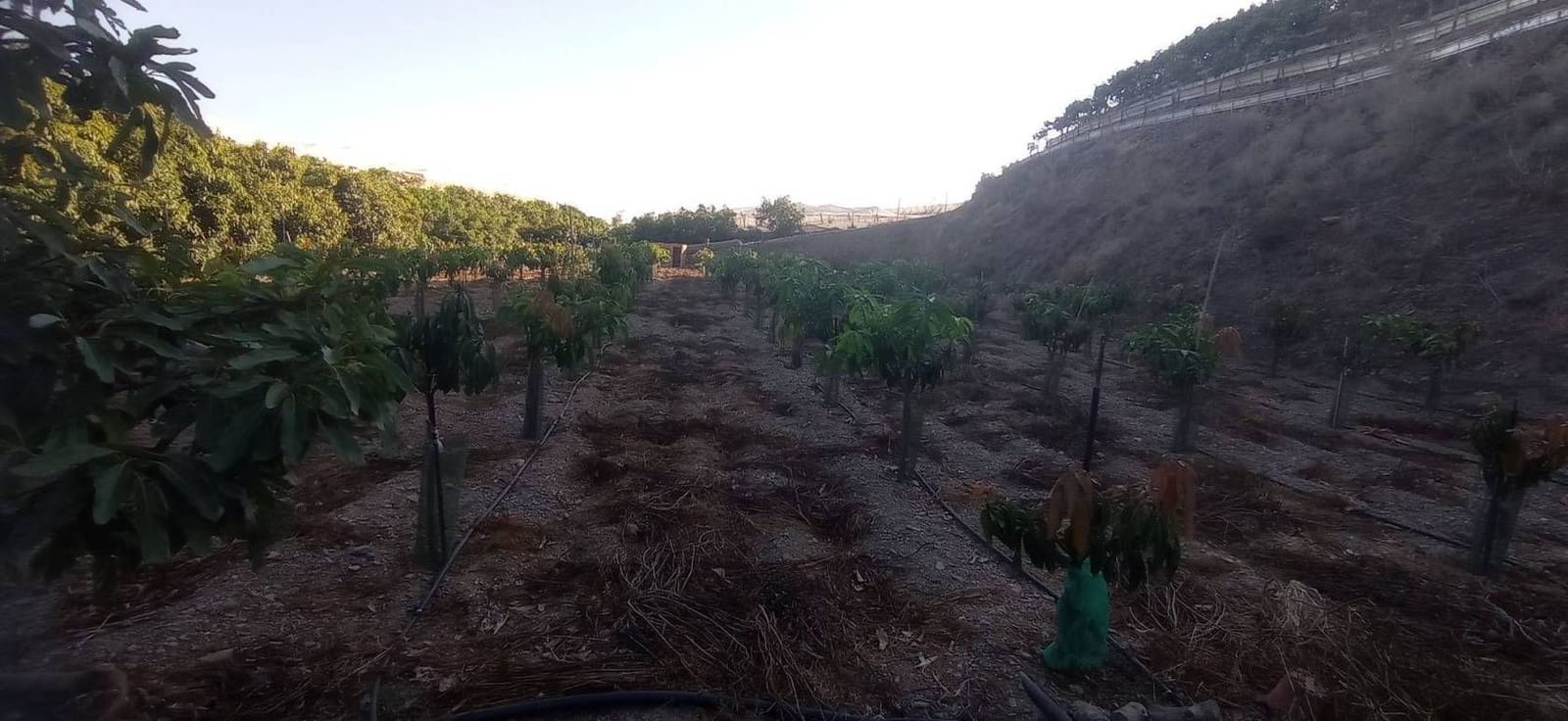 2 soverom Villa til salgs i Algarrobo med garasje - € 350 000 (Ref: 9290959)