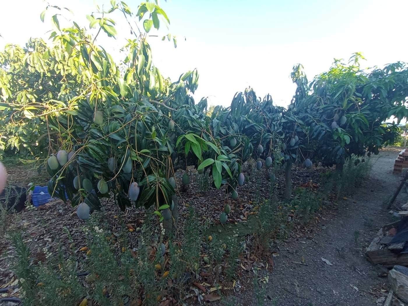 2 soverom Villa til salgs i Algarrobo med garasje - € 350 000 (Ref: 9290959)