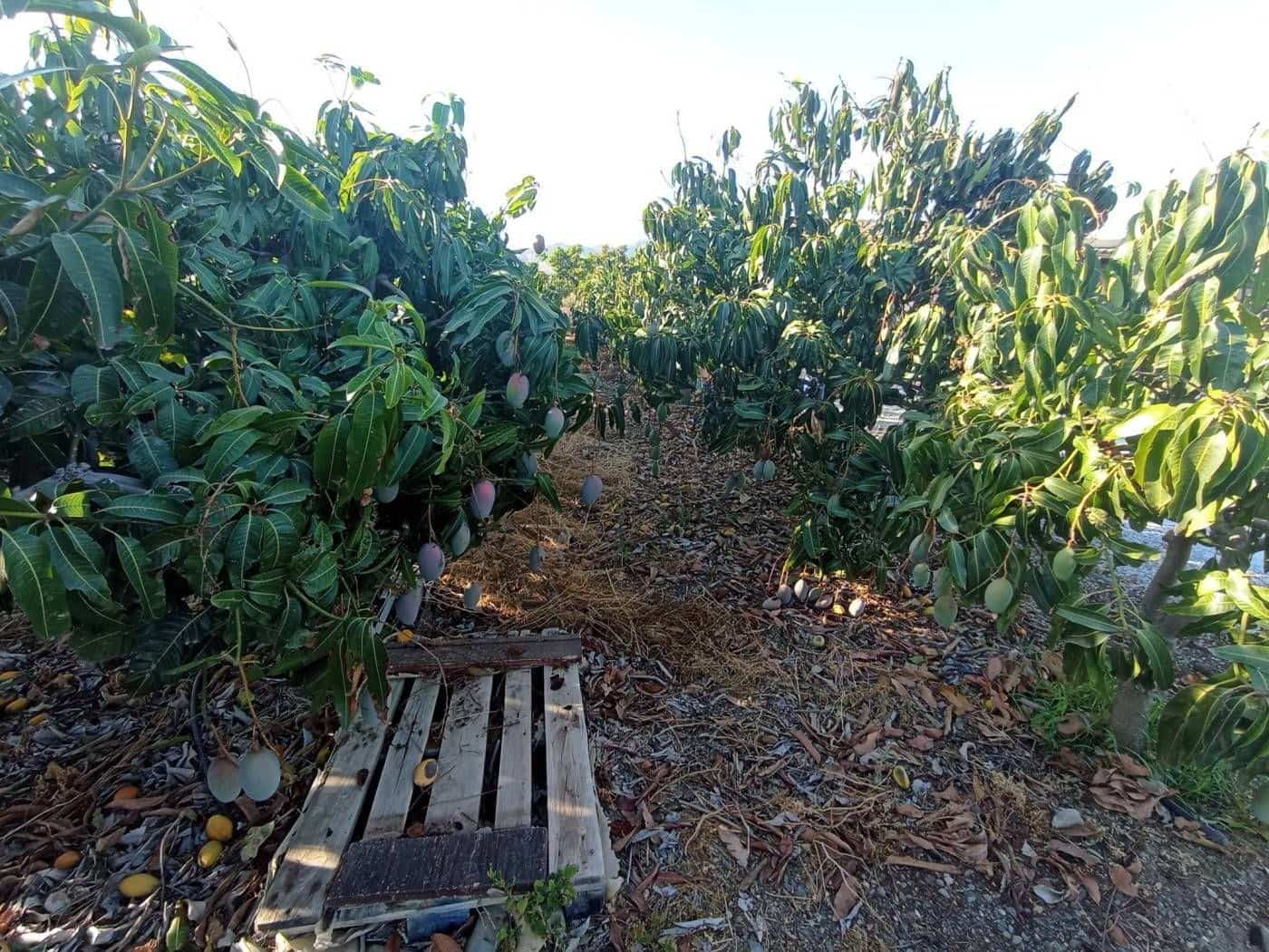 2 soverom Villa til salgs i Algarrobo med garasje - € 350 000 (Ref: 9290959)