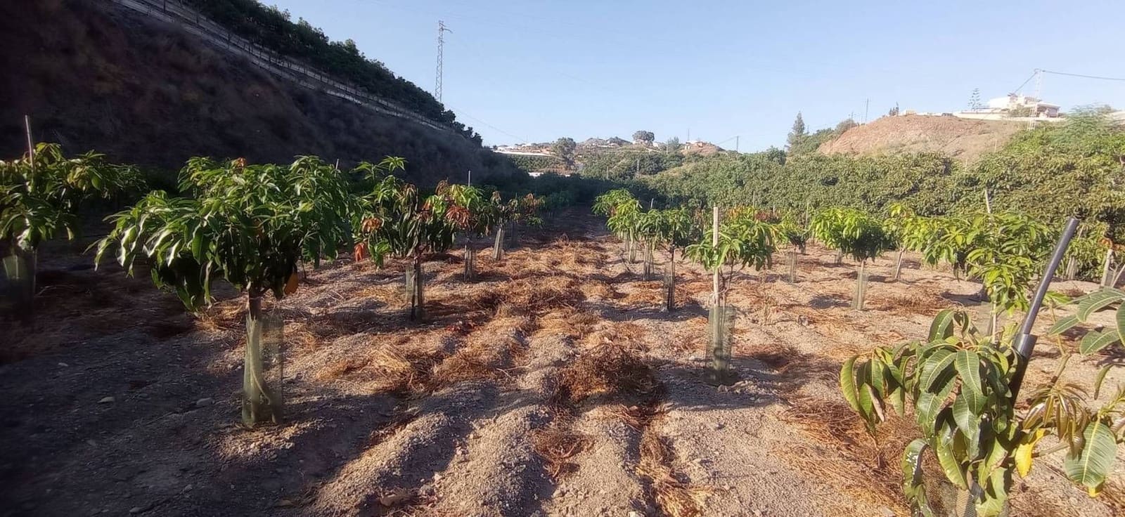 2 soverom Villa til salgs i Algarrobo med garasje - € 350 000 (Ref: 9290959)