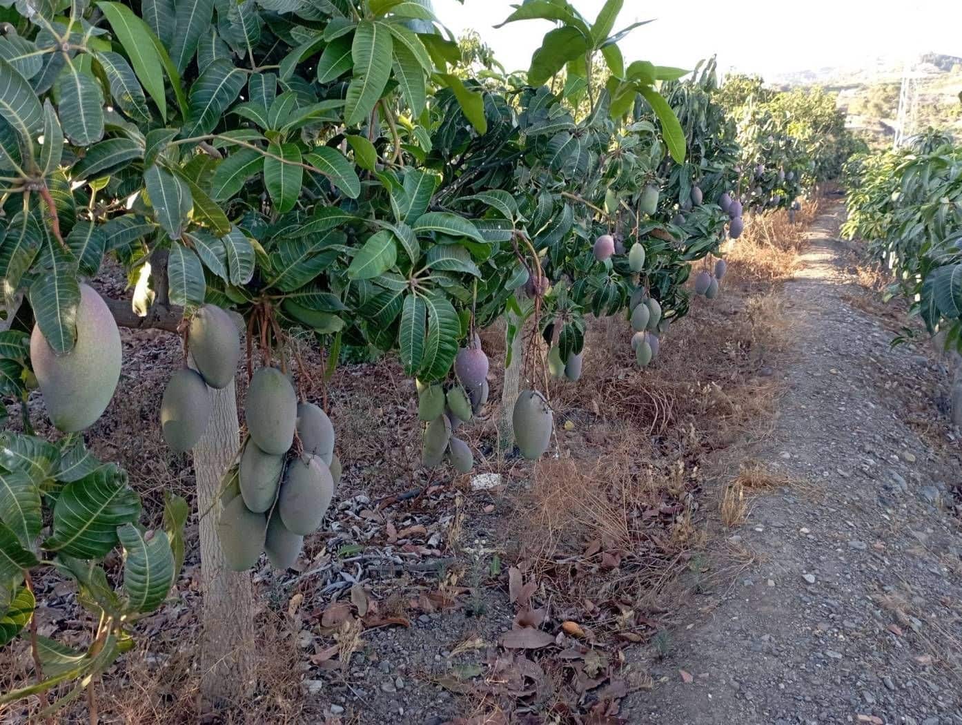 2 soverom Villa til salgs i Algarrobo med garasje - € 350 000 (Ref: 9290959)