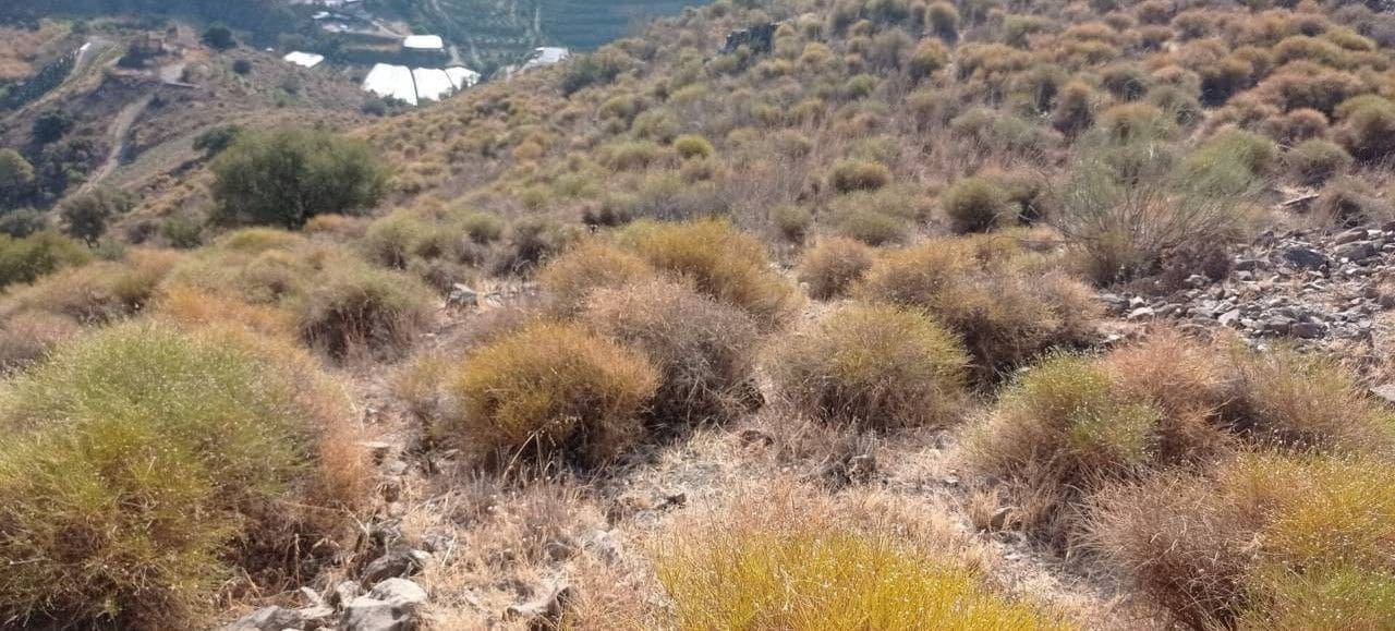 Finca/Hus på landet till salu i Torrox-Costa - 24 900 € (Ref: 9290960)