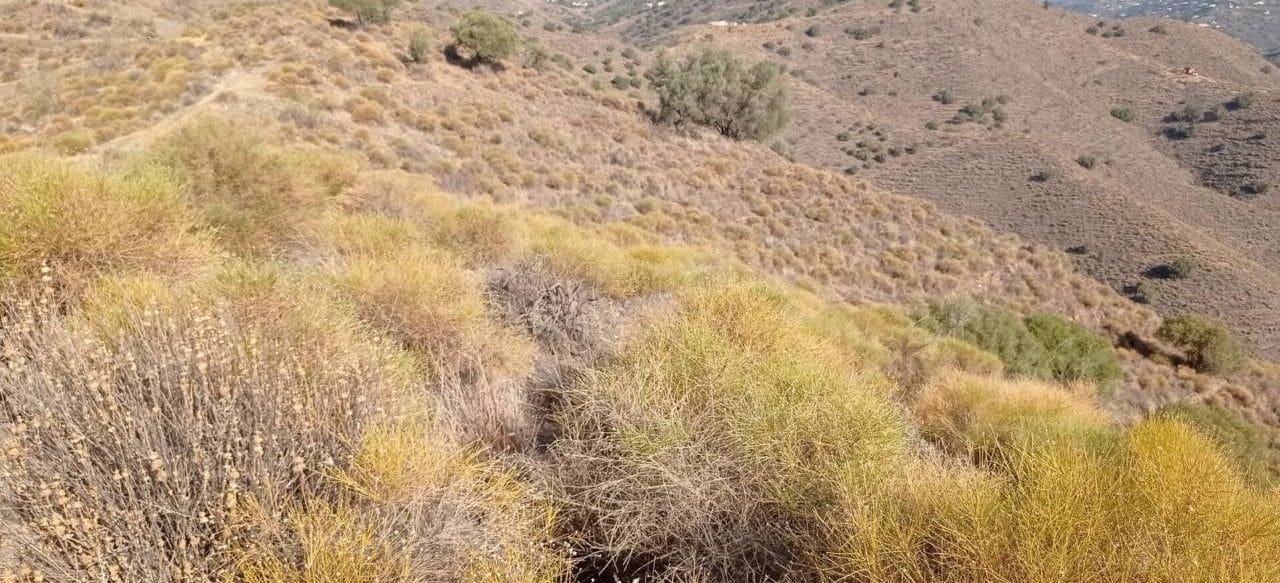 Finca/Hus på landet till salu i Torrox-Costa - 24 900 € (Ref: 9290960)