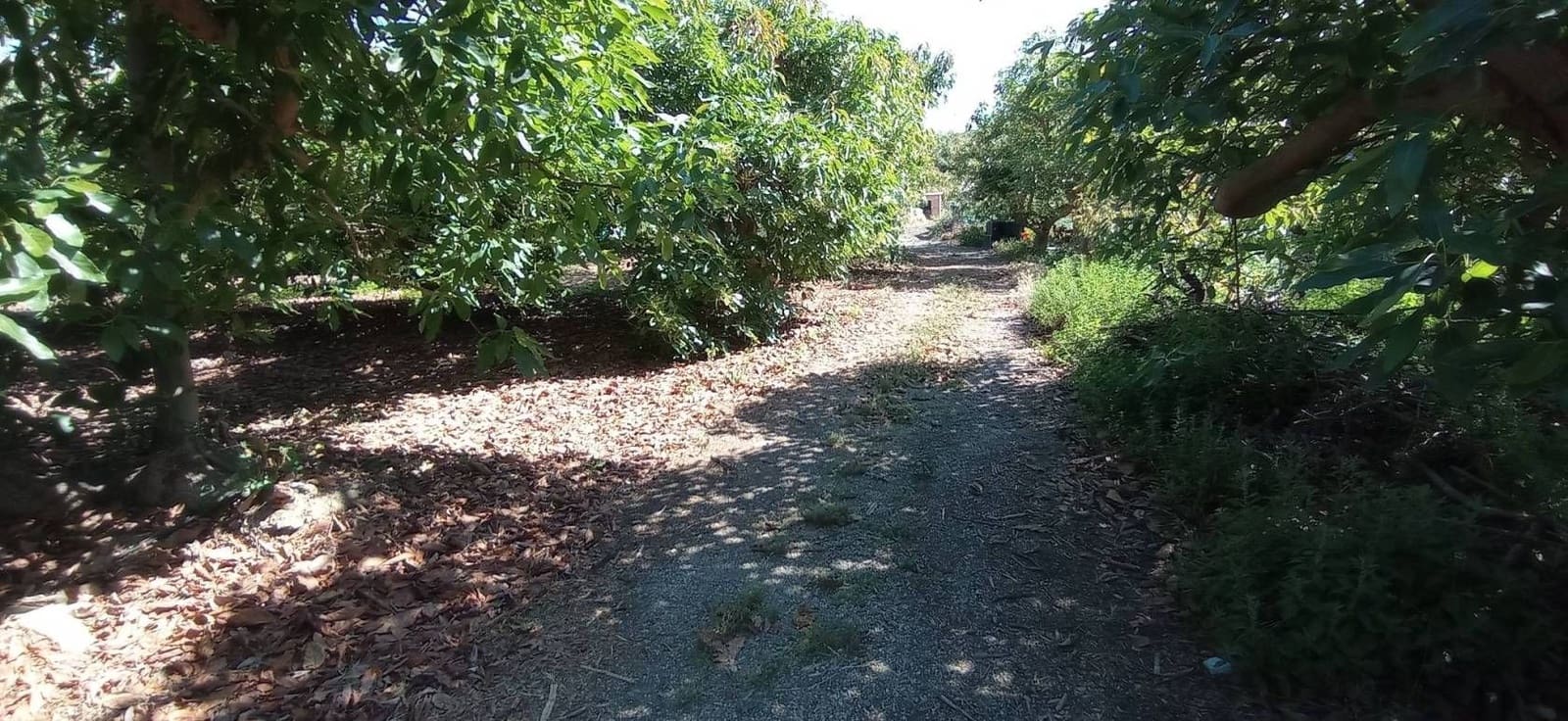 Finca/Hus på landet till salu i Almayate - 300 000 € (Ref: 9410518)