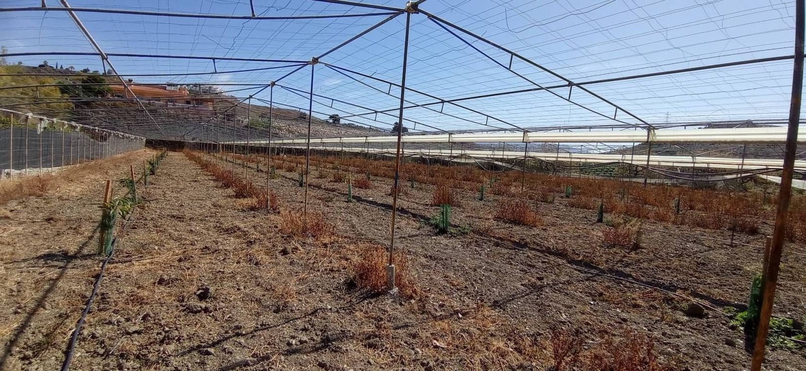 Finca/Hus på landet till salu i Almayate - 300 000 € (Ref: 9410518)