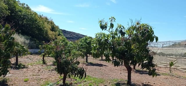 Finca/Hus på landet till salu i Almayate, Vélez-Málaga - 300 000 € (Ref: 9410518)