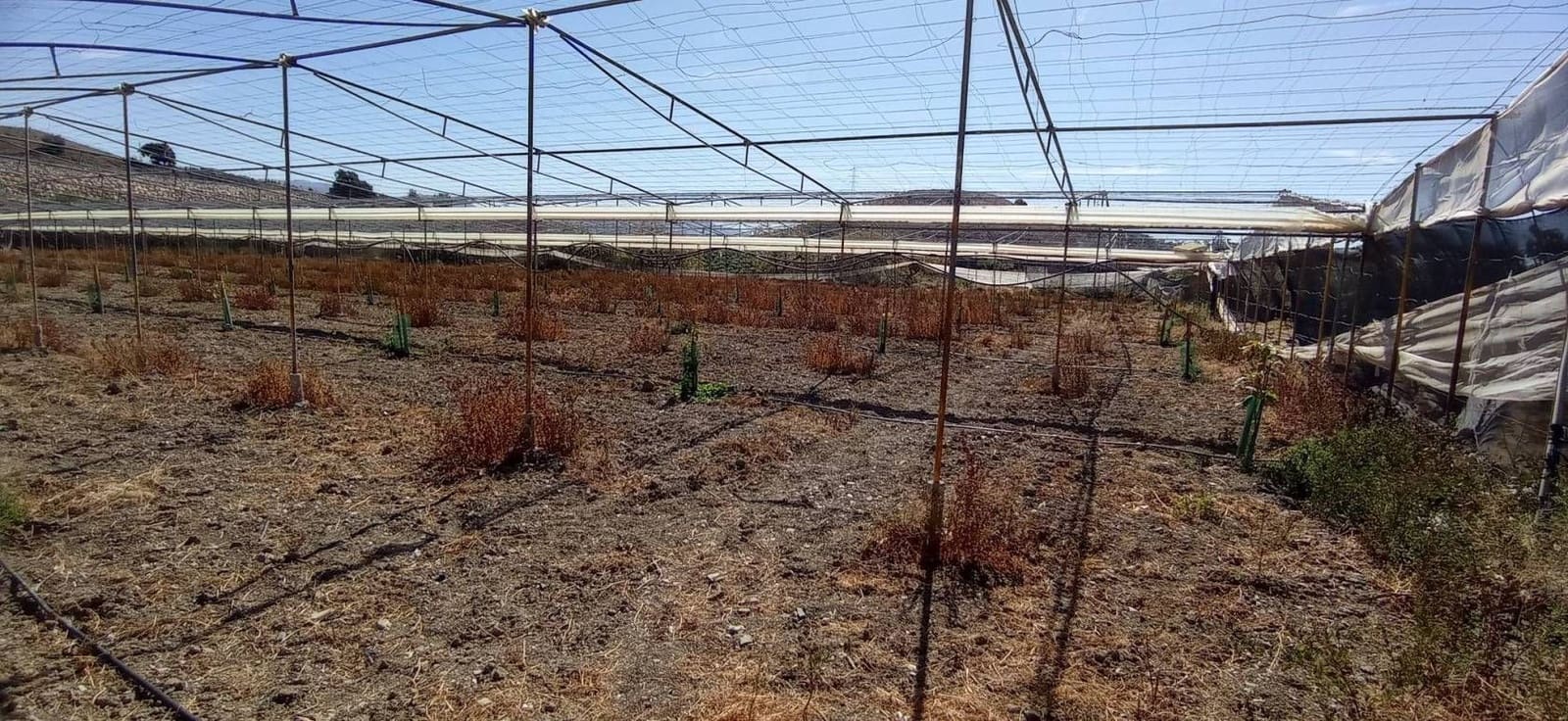 Finca/Hus på landet till salu i Almayate - 300 000 € (Ref: 9410518)