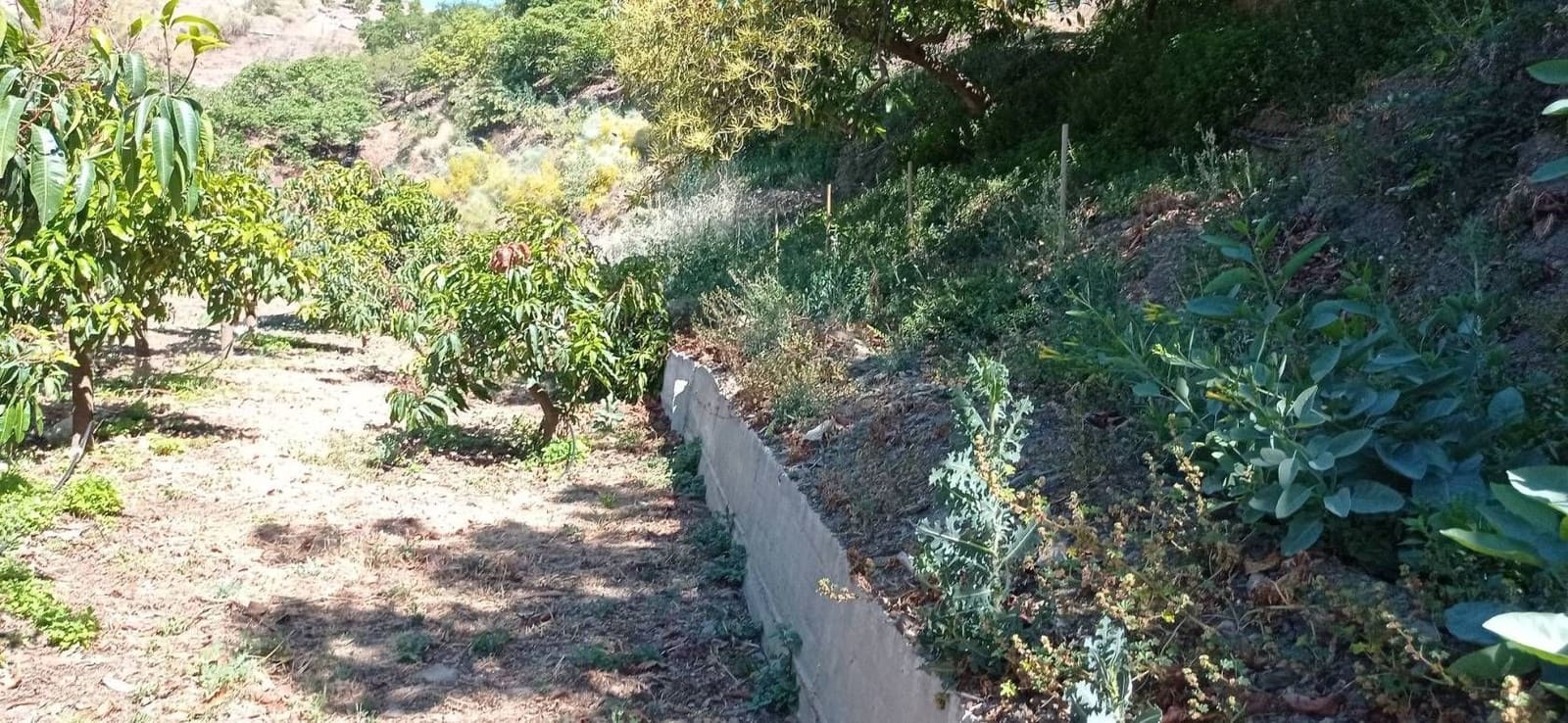 Finca/Hus på landet till salu i Almayate - 300 000 € (Ref: 9410518)