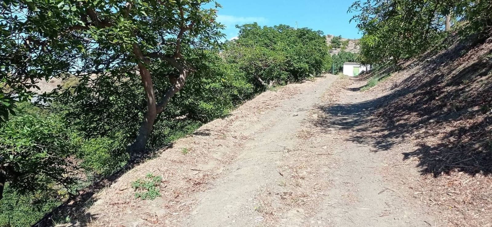 Finca/Hus på landet till salu i Almayate - 300 000 € (Ref: 9410518)