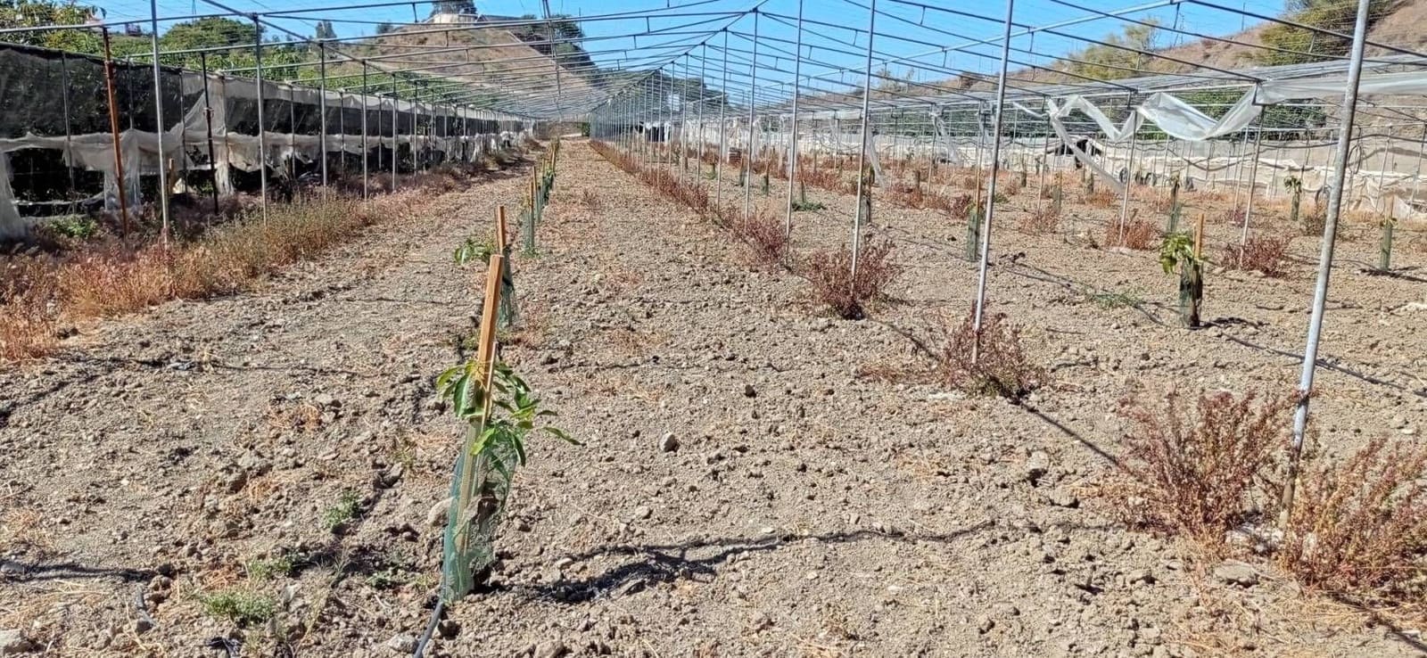 Finca/Hus på landet till salu i Almayate - 300 000 € (Ref: 9410518)