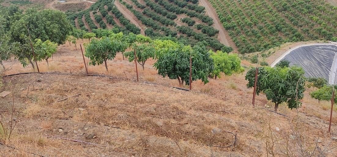 Chalet de 2 habitaciones en Vélez-Málaga en venta - 525.000 € (Ref: 9410519)