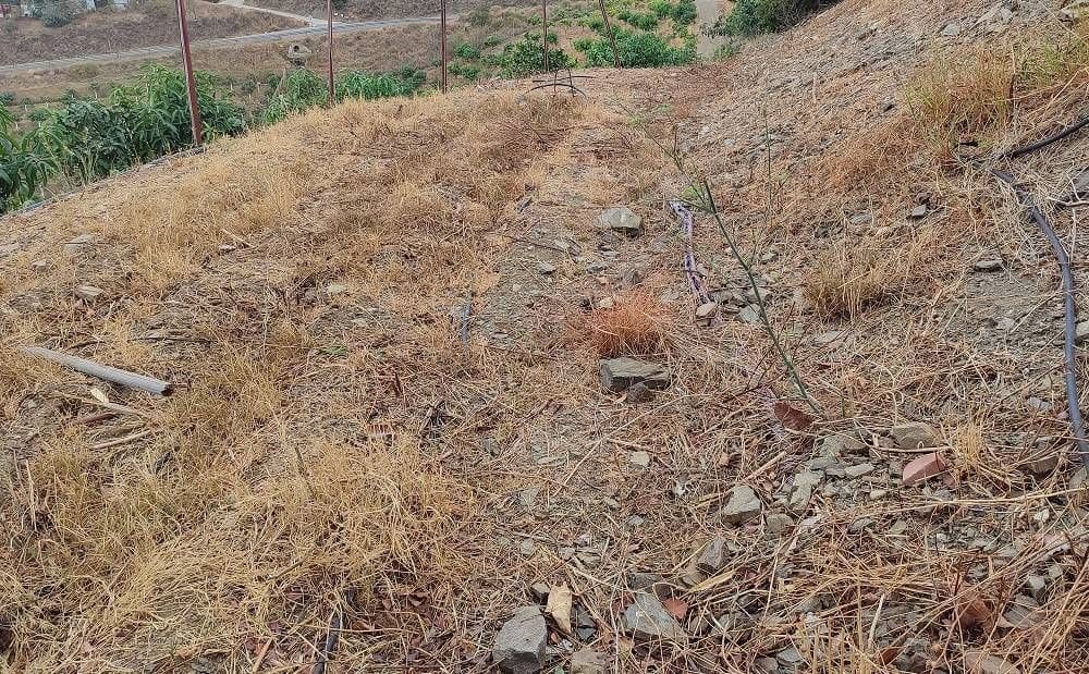 Chalet de 2 habitaciones en Vélez-Málaga en venta - 525.000 € (Ref: 9410519)