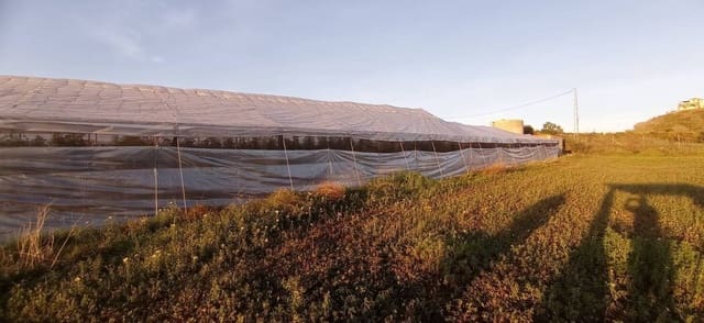 Finca/Maison de Campagne à vendre à Algarrobo - 87 000 € (Ref: 9410520)