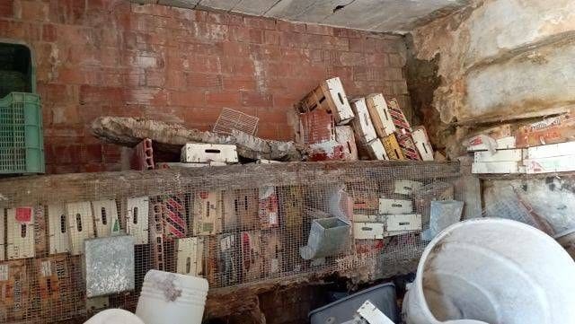 2 bedroom Apartment for sale in Sayalonga - € 22,000 (Ref: 9485509)