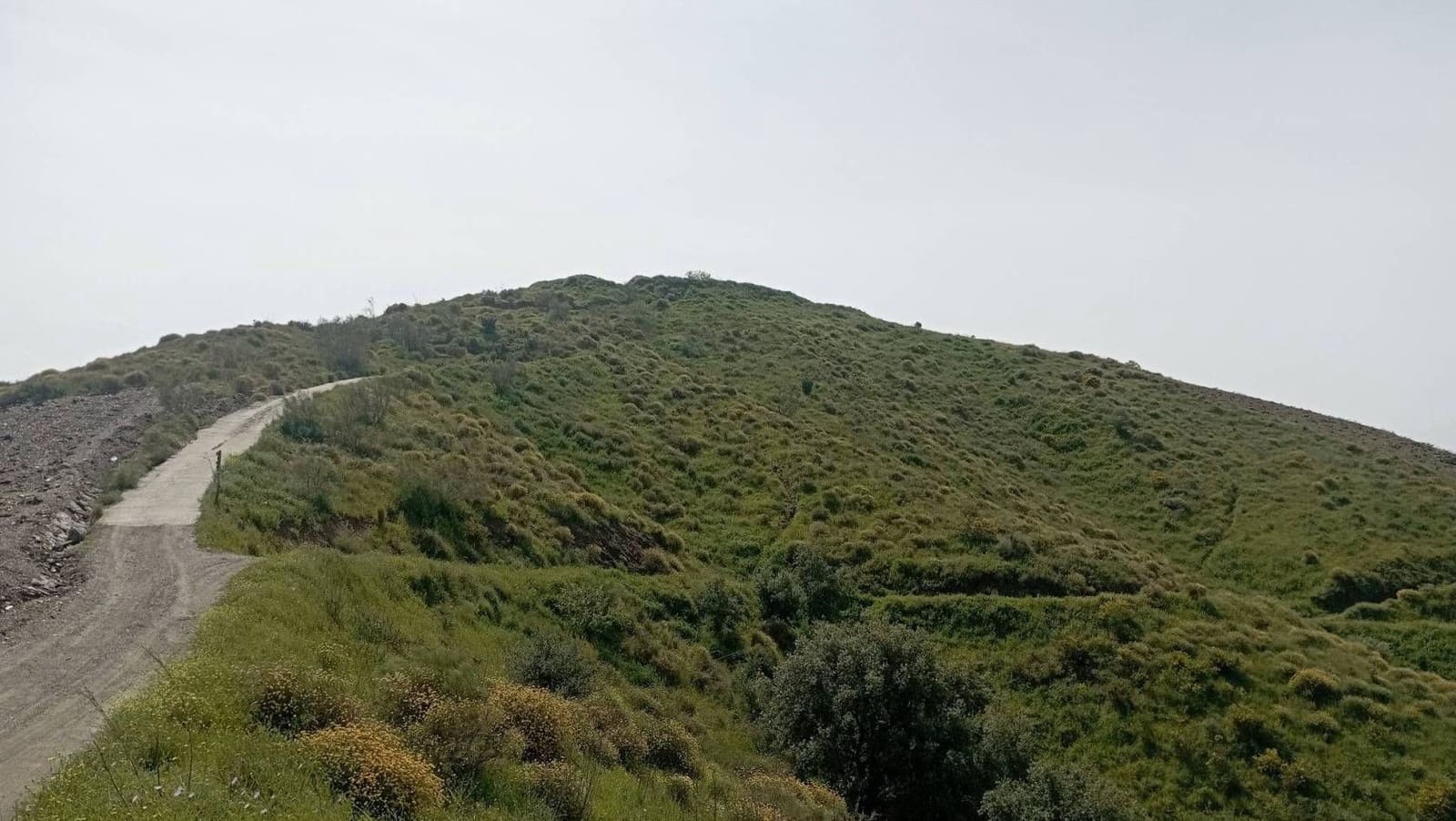 Quinta/Casa Rural para venda em Almachar - 29 900 € (Ref: 9560887)