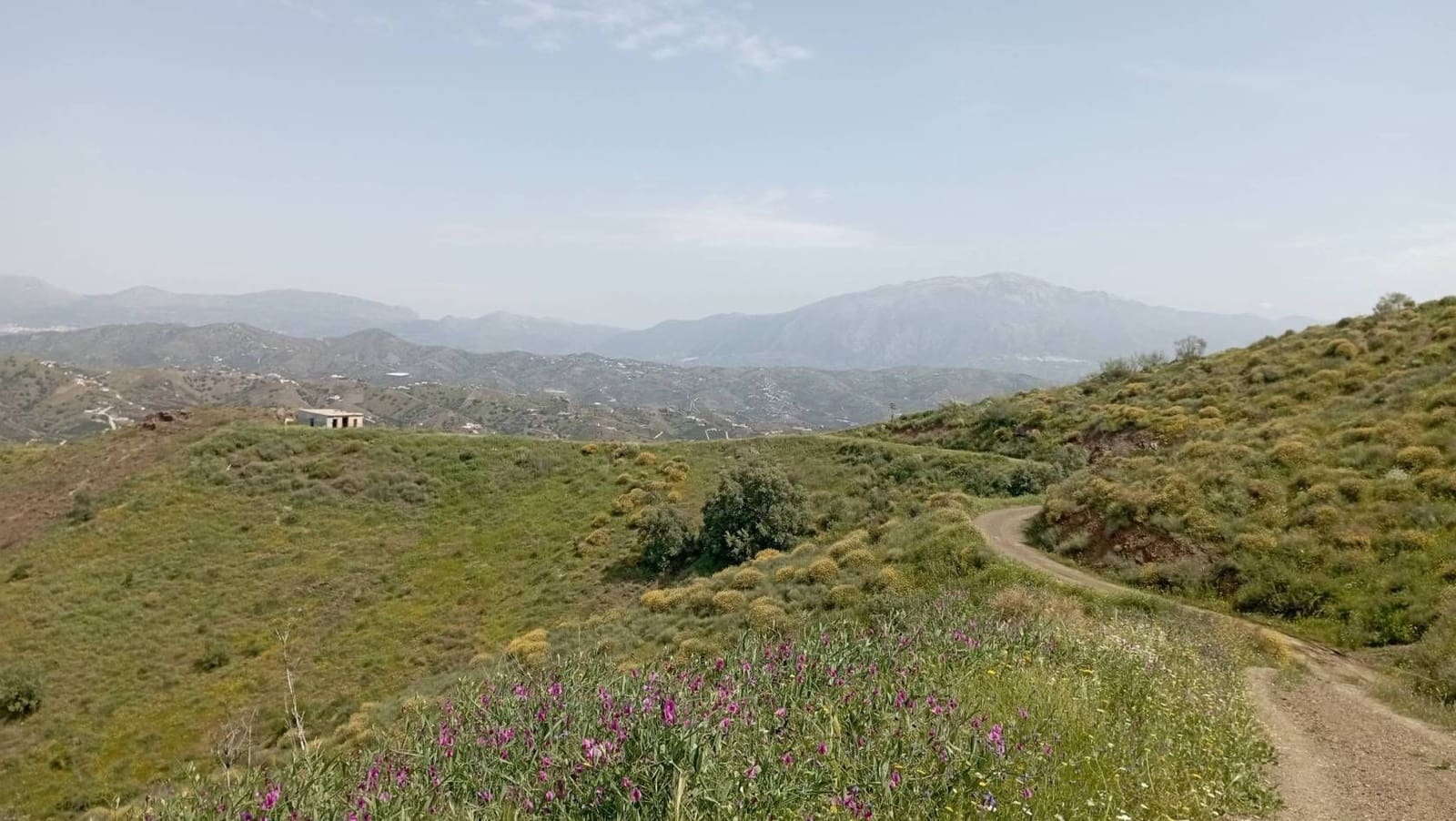 Quinta/Casa Rural para venda em Almachar - 29 900 € (Ref: 9560887)