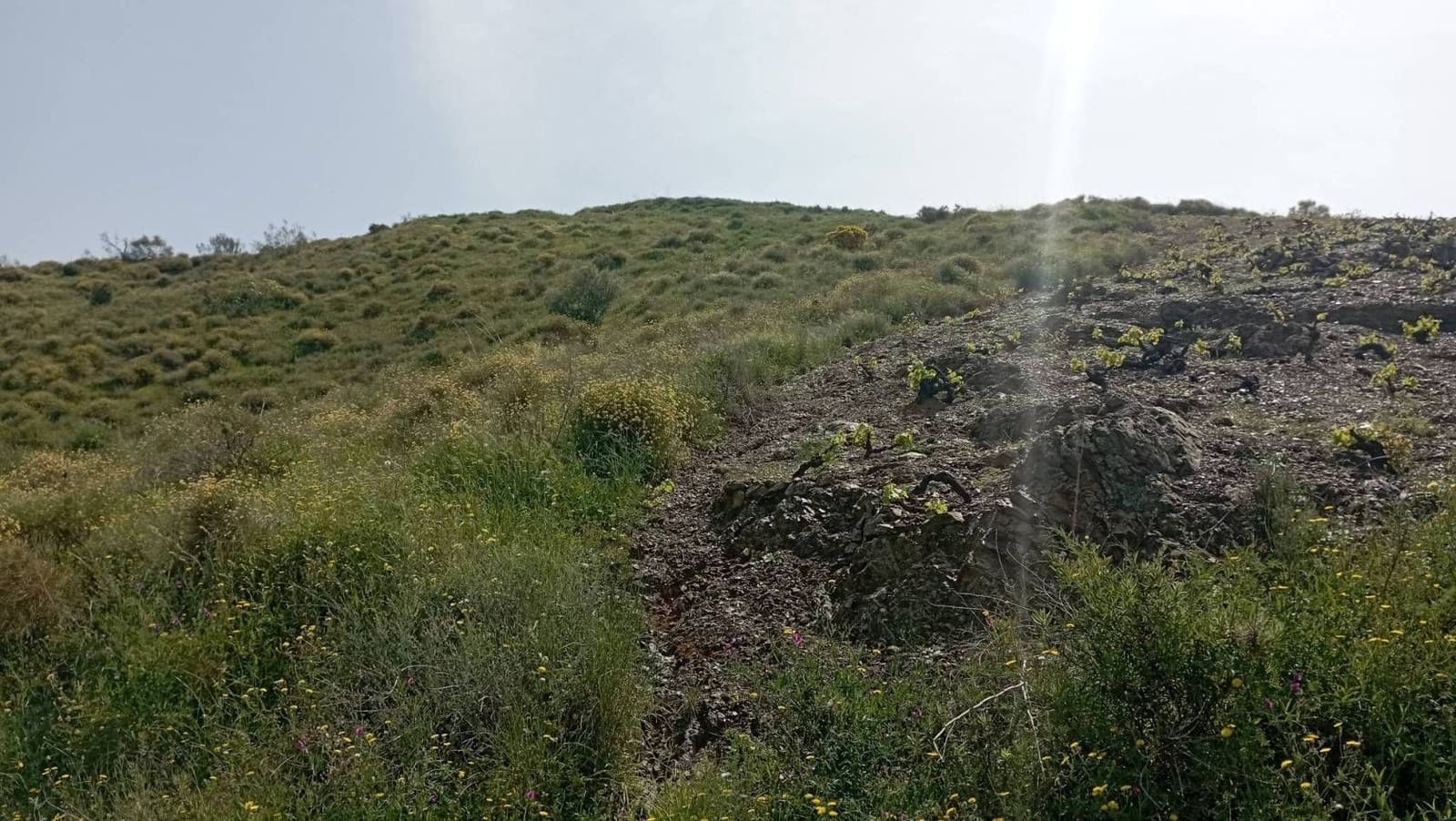 Quinta/Casa Rural para venda em Almachar - 29 900 € (Ref: 9560887)