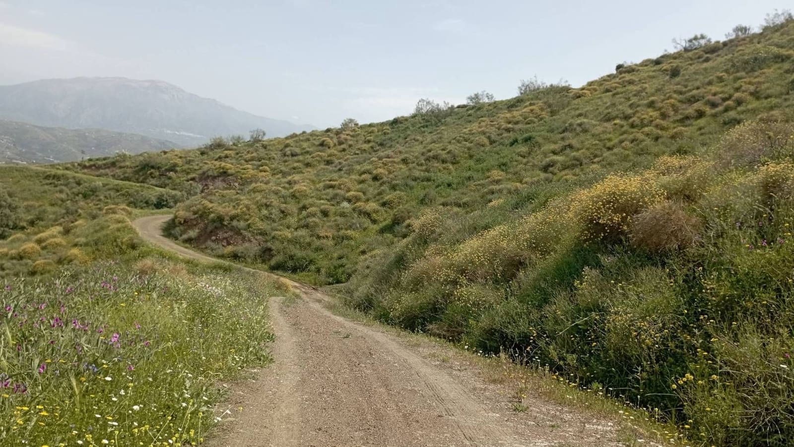 Quinta/Casa Rural para venda em Almachar - 29 900 € (Ref: 9560887)