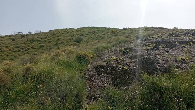 Maalaistalo myytävänä paikassa Almáchar - 29 900 € (Ref: 9560887)