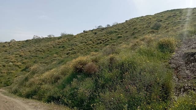 Maalaistalo myytävänä paikassa Almáchar - 29 900 € (Ref: 9560887)