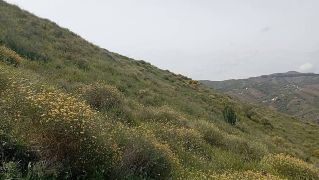 Maalaistalo myytävänä paikassa Almáchar - 29 900 € (Ref: 9560887)