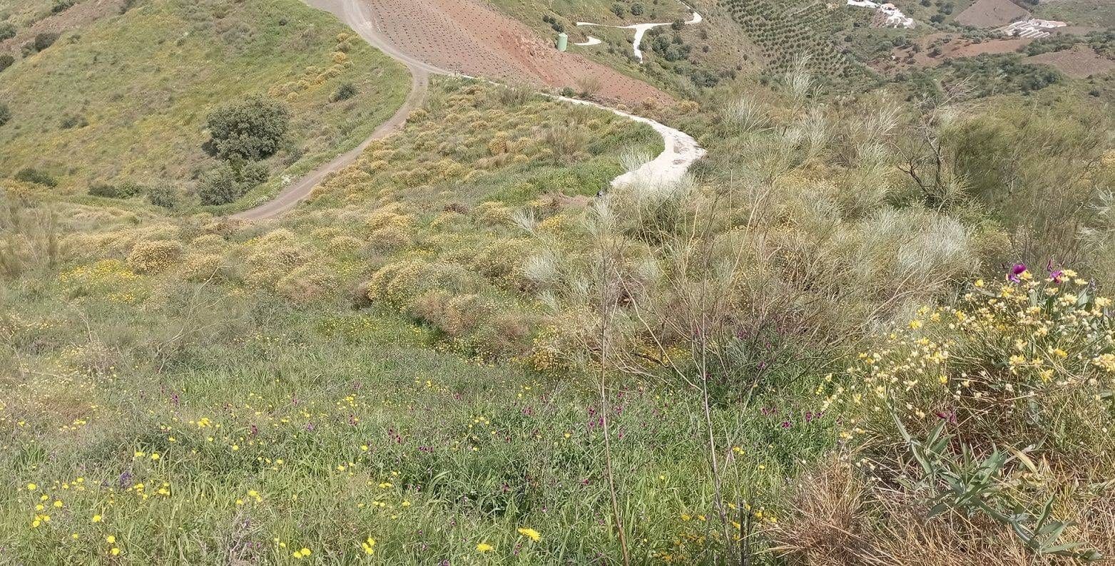 Quinta/Casa Rural para venda em Almachar - 29 900 € (Ref: 9560887)