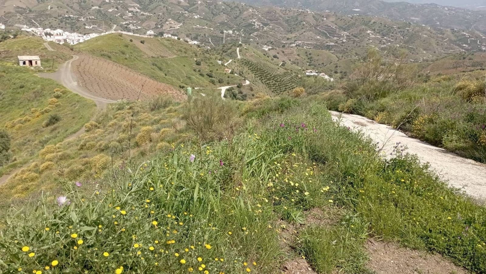 Quinta/Casa Rural para venda em Almachar - 29 900 € (Ref: 9560887)