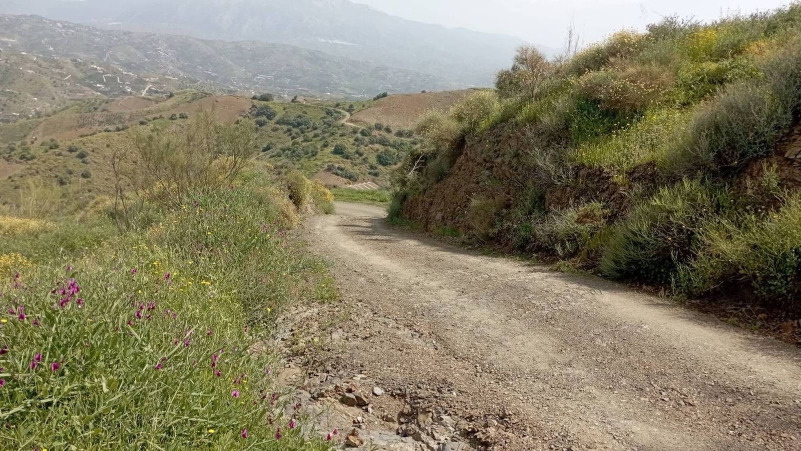 Quinta/Casa Rural para venda em Almachar - 29 900 € (Ref: 9560887)