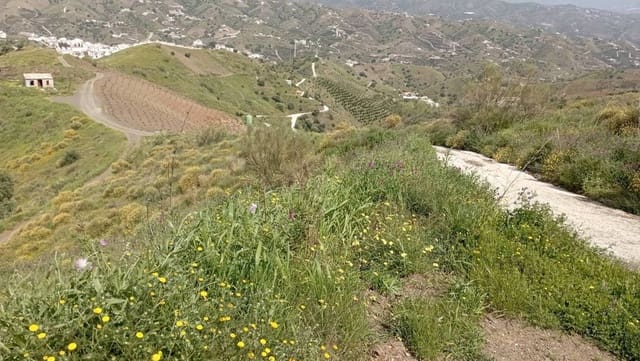 Maalaistalo myytävänä paikassa Almáchar - 29 900 € (Ref: 9560887)