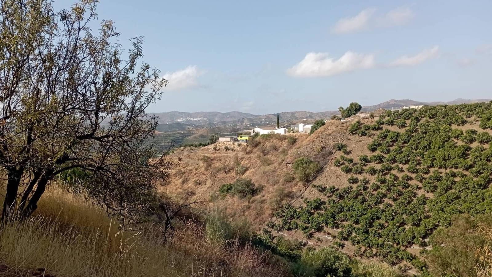 Quinta/Casa Rural para venda em Velez-Malaga - 35 000 € (Ref: 9560888)