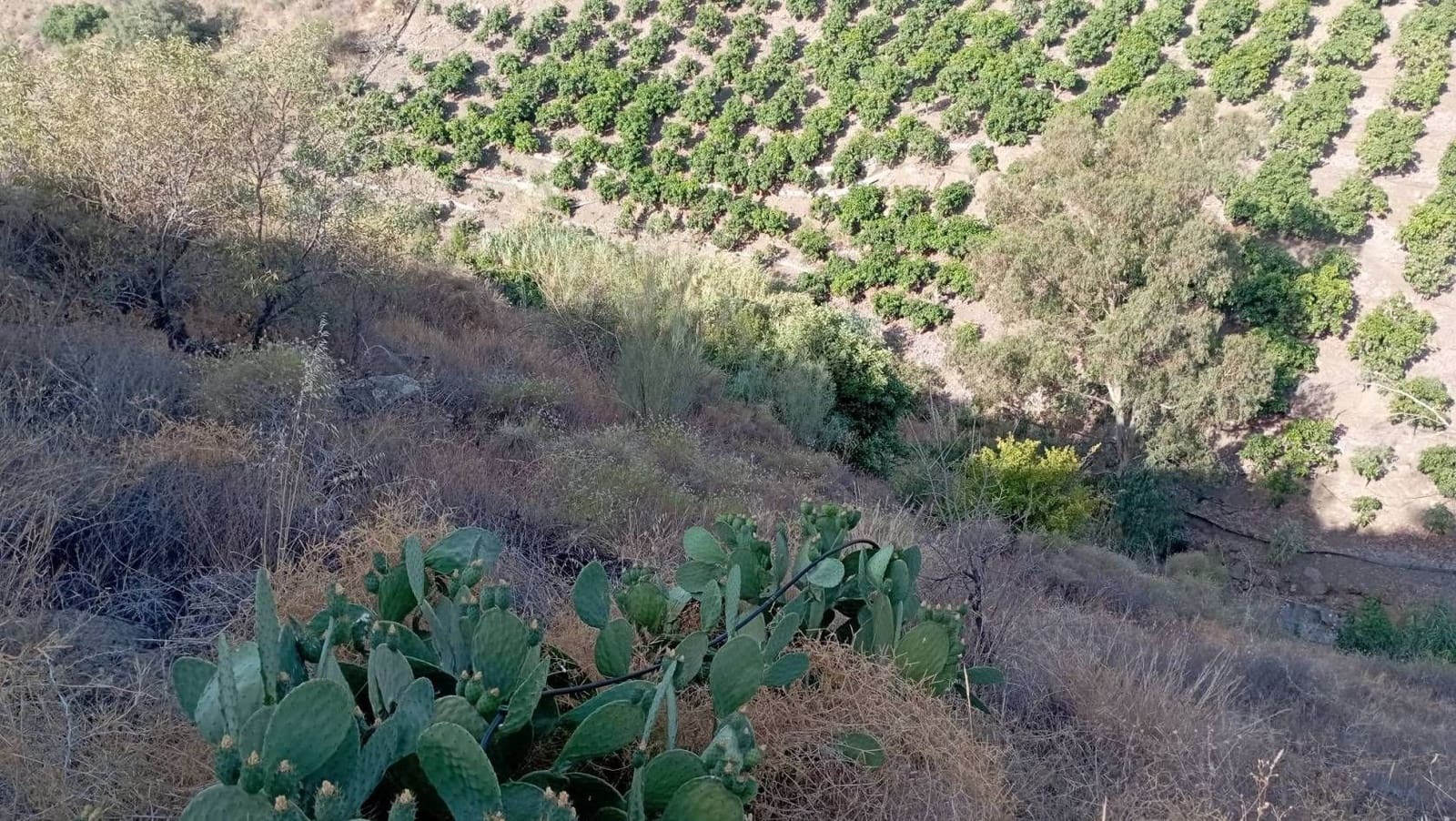 Quinta/Casa Rural para venda em Velez-Malaga - 35 000 € (Ref: 9560888)