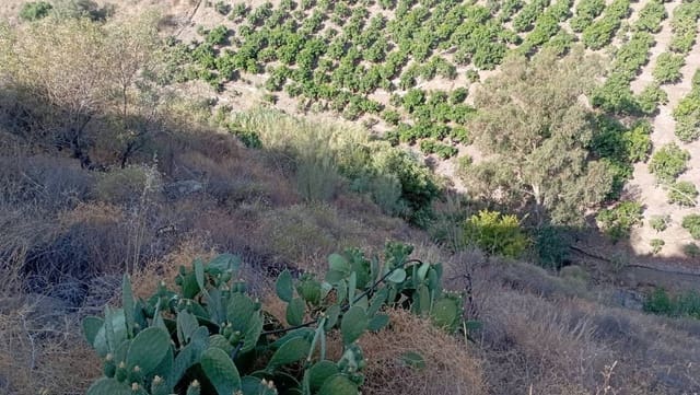 Finca/Landhuis te koop in Vélez-Málaga - € 35.000 (Ref: 9560888)