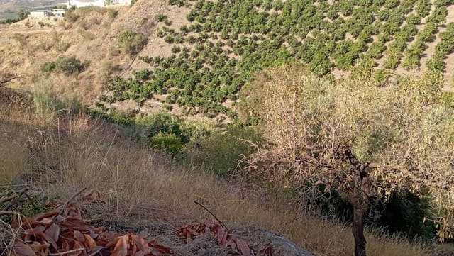 Finca/Landhuis te koop in Vélez-Málaga - € 35.000 (Ref: 9560888)