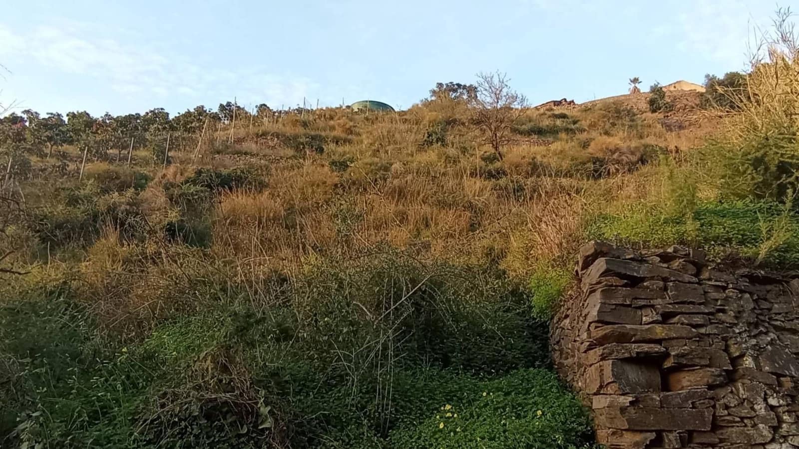 Finka/Dom wiejski na sprzedaż w Torrox-Costa - 7 000 € (Ref: 9560889)