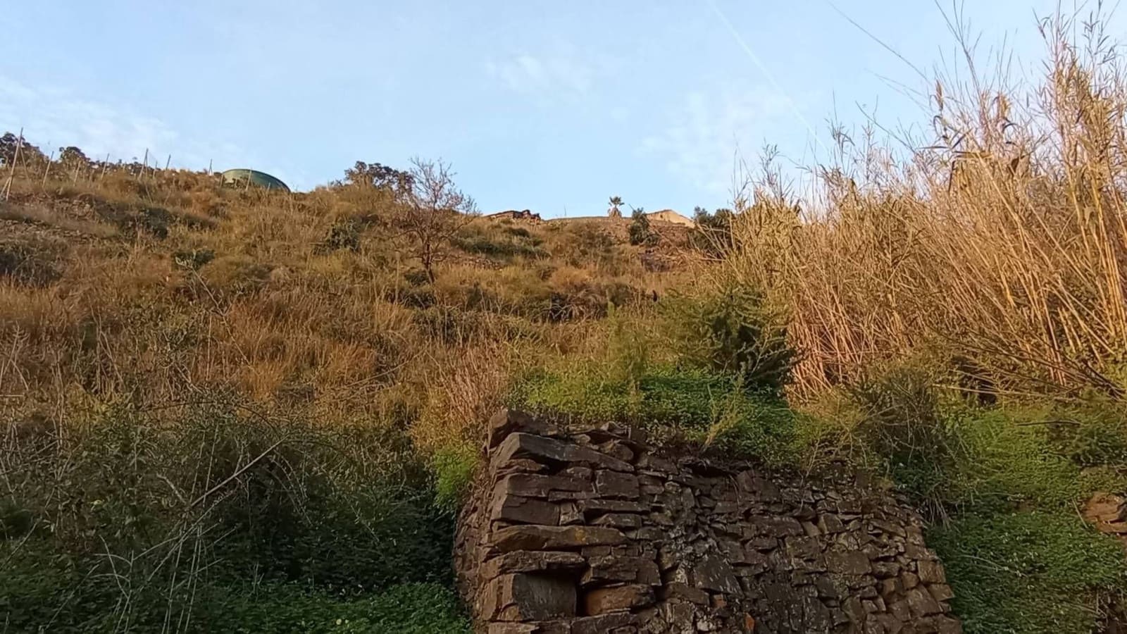 Finka/Dom wiejski na sprzedaż w Torrox-Costa - 7 000 € (Ref: 9560889)