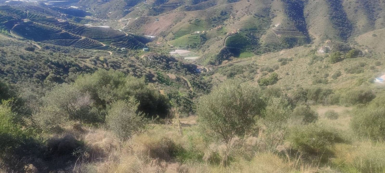 Finca/Country House for sale in Torrox-Costa - € 19,000 (Ref: 9560890)