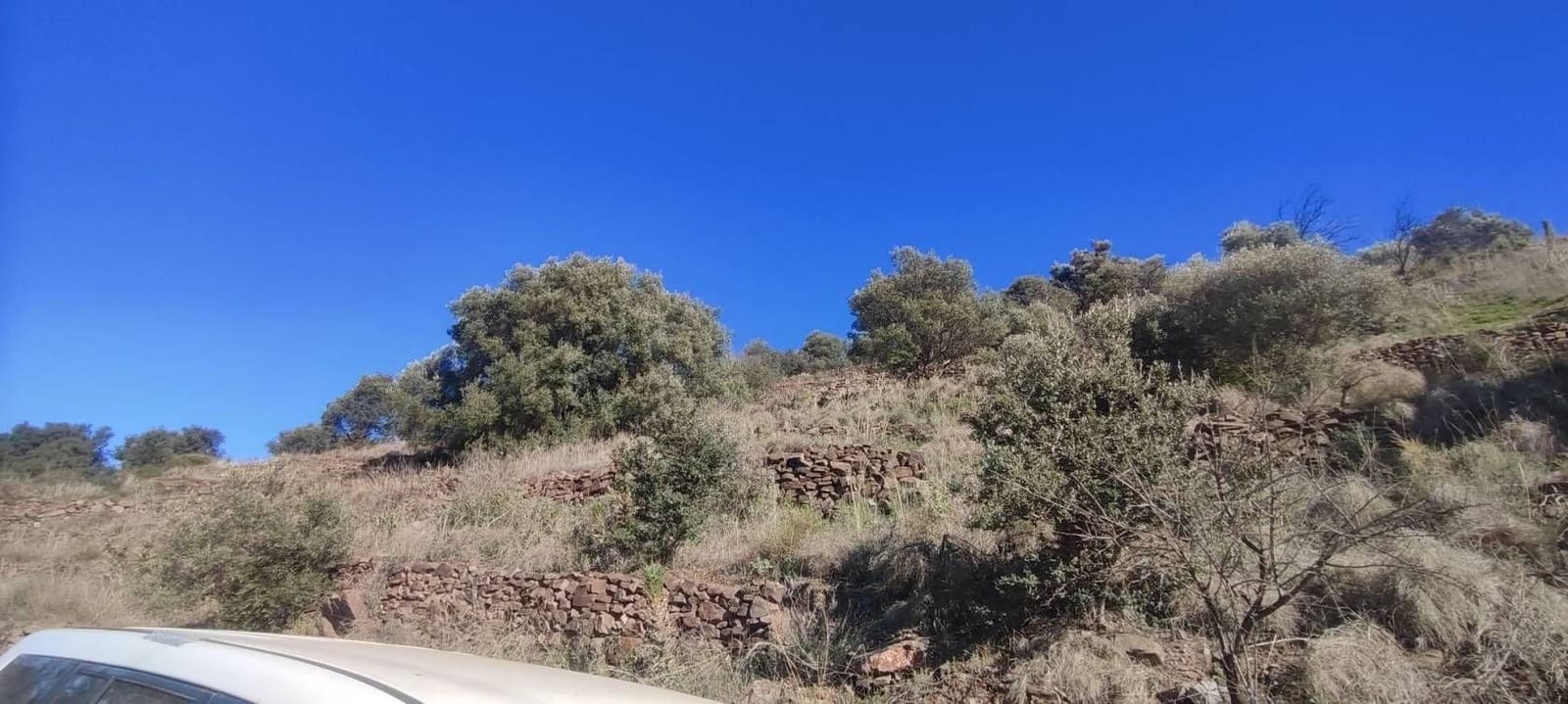 Finca/Country House for sale in Torrox-Costa - € 19,000 (Ref: 9560890)