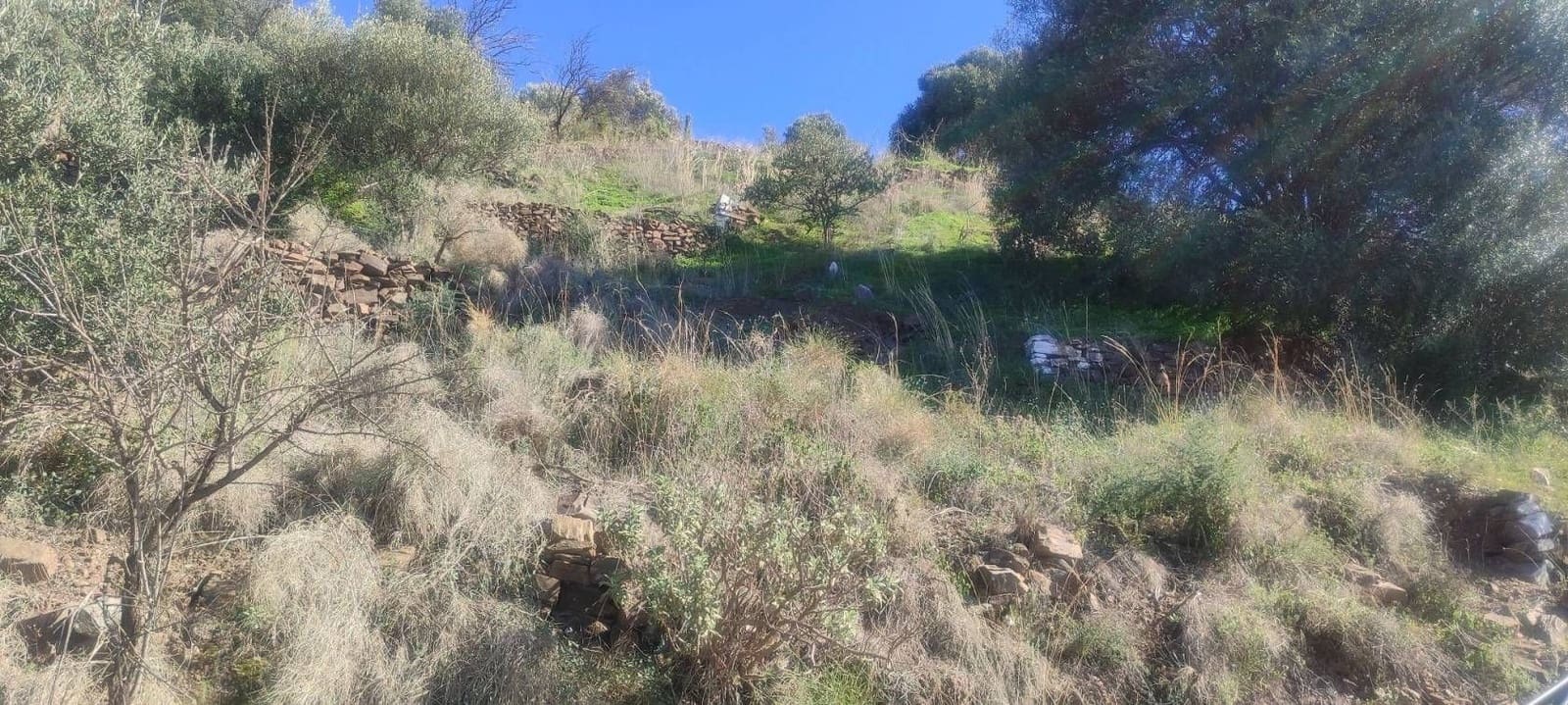 Finca/Country House for sale in Torrox-Costa - € 19,000 (Ref: 9560890)