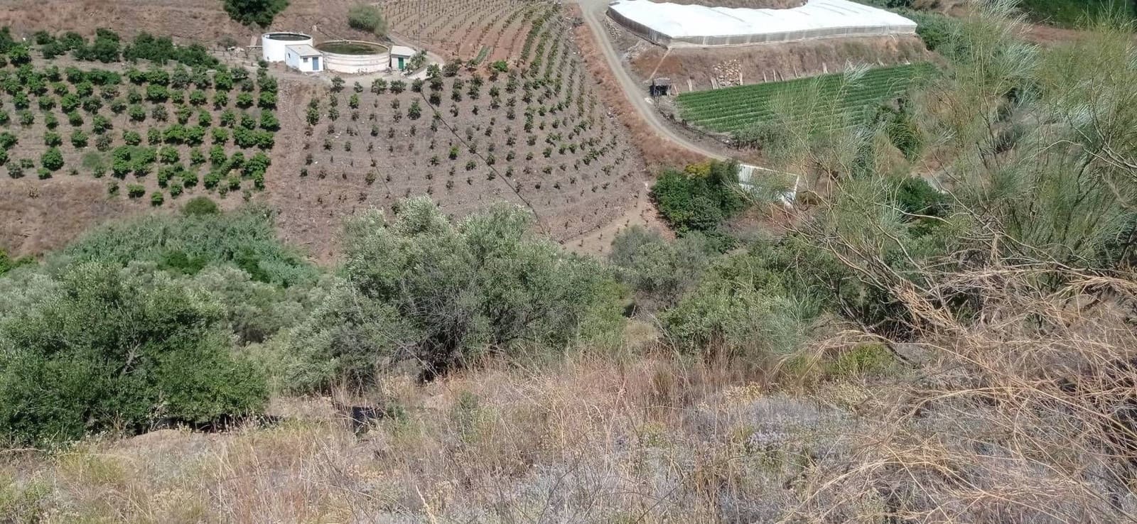 Quinta/Casa Rural para venda em Velez-Malaga - 90 000 € (Ref: 9560891)