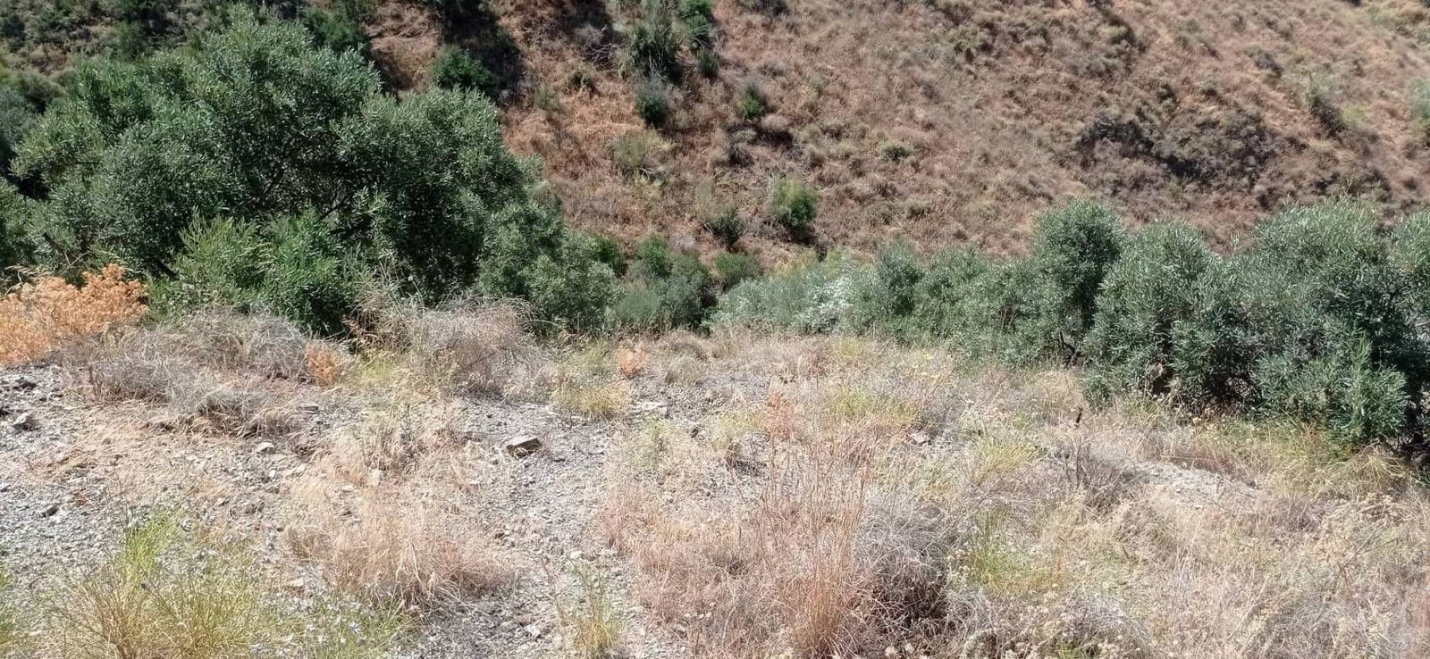 Quinta/Casa Rural para venda em Velez-Malaga - 90 000 € (Ref: 9560891)