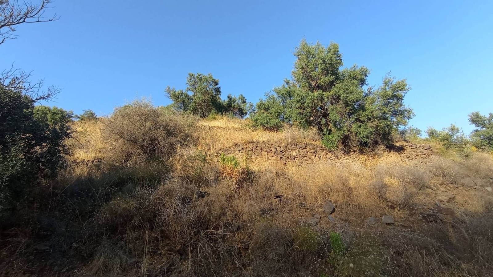 Finka/Dom wiejski na sprzedaż w Torrox-Costa - 10 000 € (Ref: 9560892)