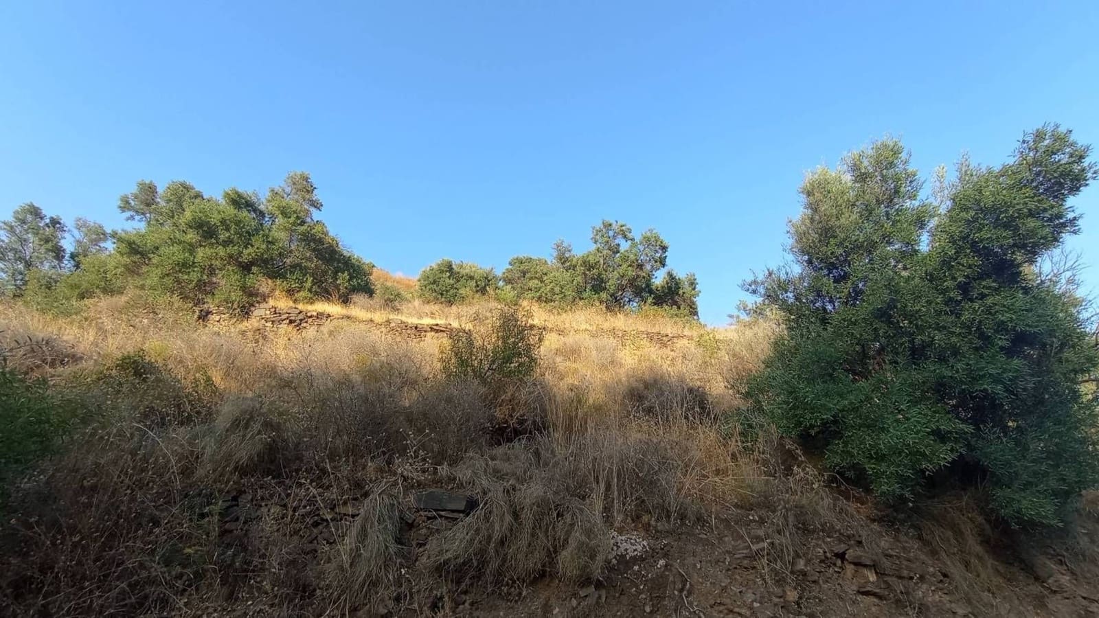 Finka/Dom wiejski na sprzedaż w Torrox-Costa - 10 000 € (Ref: 9560892)