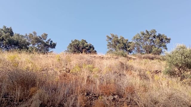 Finca/Landhuis te koop in Torrox-Costa, Torrox - € 10.000 (Ref: 9560892)