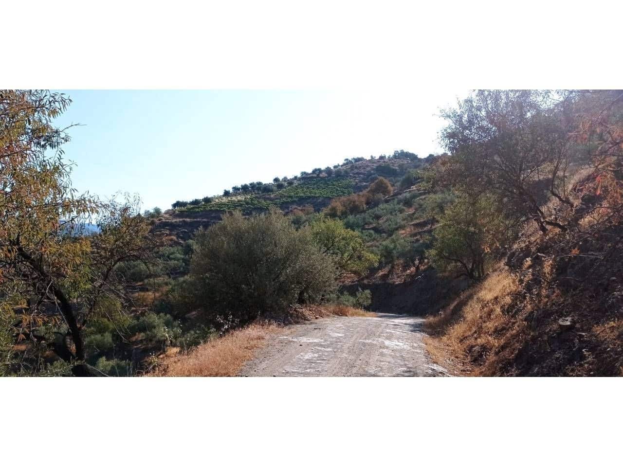 1 slaapkamer Finca/Landhuis te koop in Torrox-Costa - € 140.000 (Ref: 9560894)