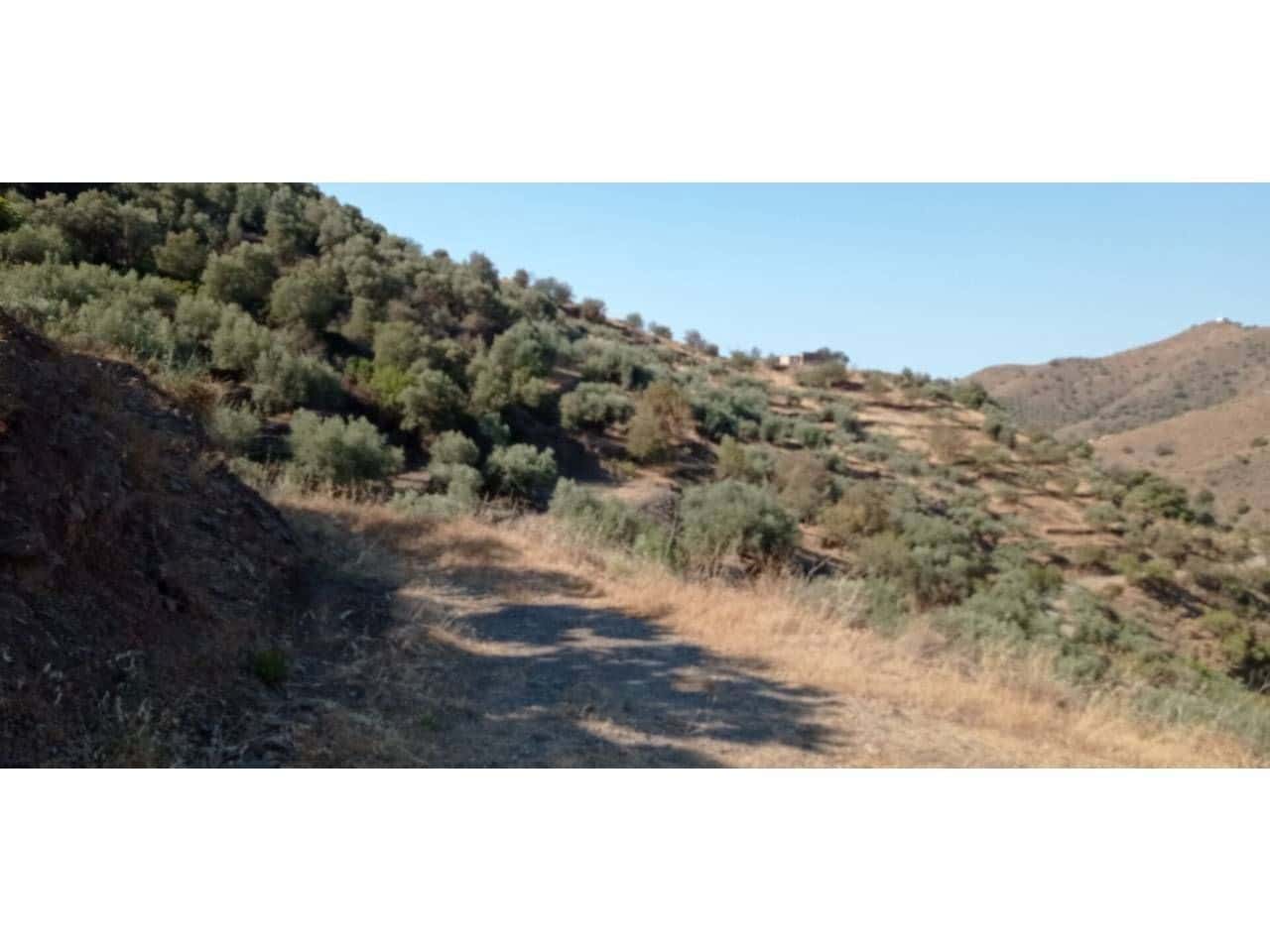 1 slaapkamer Finca/Landhuis te koop in Torrox-Costa - € 140.000 (Ref: 9560894)