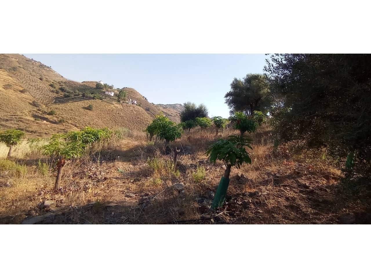 1 slaapkamer Finca/Landhuis te koop in Torrox-Costa - € 140.000 (Ref: 9560894)