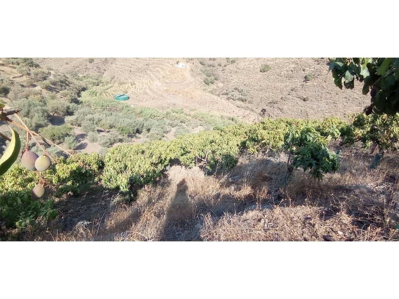 1 slaapkamer Finca/Landhuis te koop in Torrox-Costa - € 140.000 (Ref: 9560894)