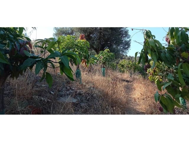 1 slaapkamer Finca/Landhuis te koop in Torrox-Costa, Torrox - € 140.000 (Ref: 9560894)