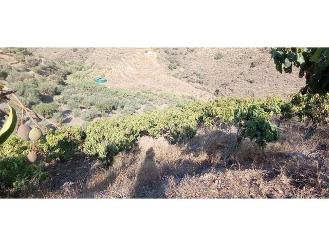 1 slaapkamer Finca/Landhuis te koop in Torrox-Costa, Torrox - € 140.000 (Ref: 9560894)