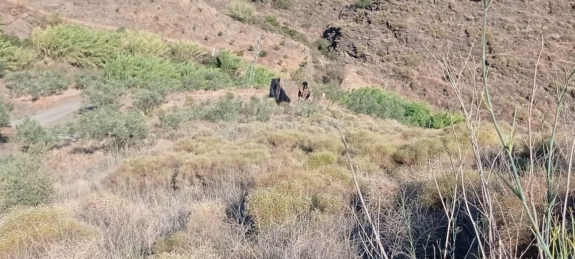 1 slaapkamer Finca/Landhuis te koop in Torrox-Costa - € 140.000 (Ref: 9560894)